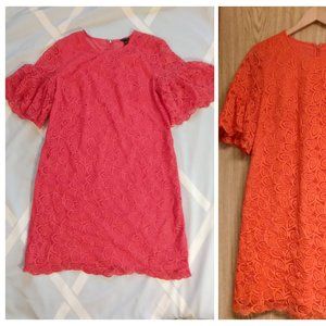Coral Ann Taylor Lace Dress